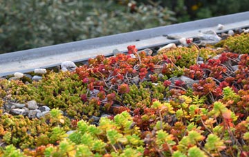 the cost of Harrowbarrow green roof installation