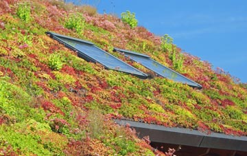 Harrowbarrow living roof systems